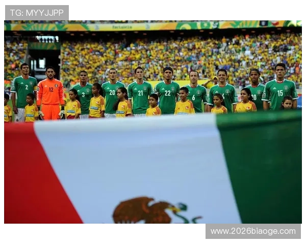 2023年巴西国家队世界杯大名单详细解析，哪些球员入选成为焦点