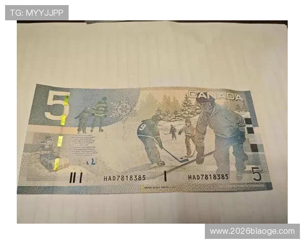 2026年世界杯门票购买常见问题解答及避免陷阱的方法