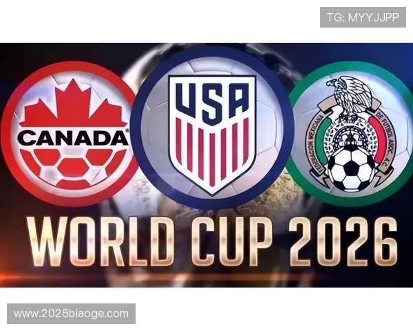 2026年世界杯竞猜正规网站推荐，满足不同用户的多样化需求