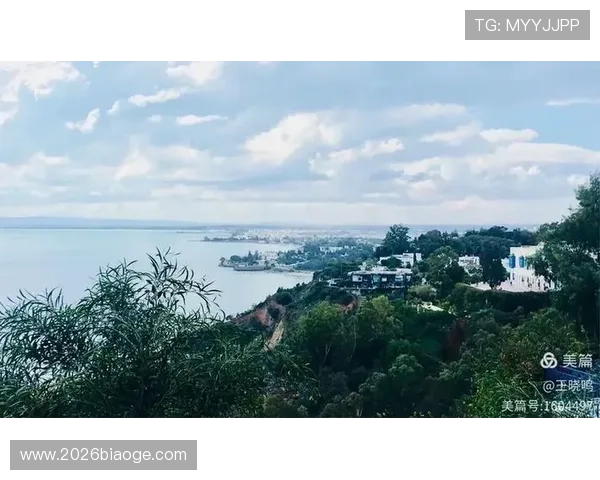 吉祥访体育介绍各种运动项目的基础知识与专业技巧,帮助新手快速入门 吉祥访体育介绍各种运动项目的基础知识与专业技巧,帮助新手快速入门